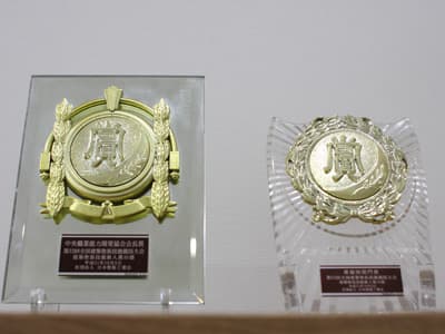 塗装技能大会での受賞歴を持つ確かな技術