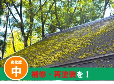 屋根の劣化チェックポイント｜屋根のコケ・カビ