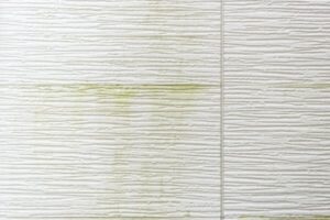 外壁のカビ・苔